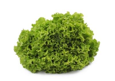 Салат айсберг 300 г - купить в Ожге 2-мне